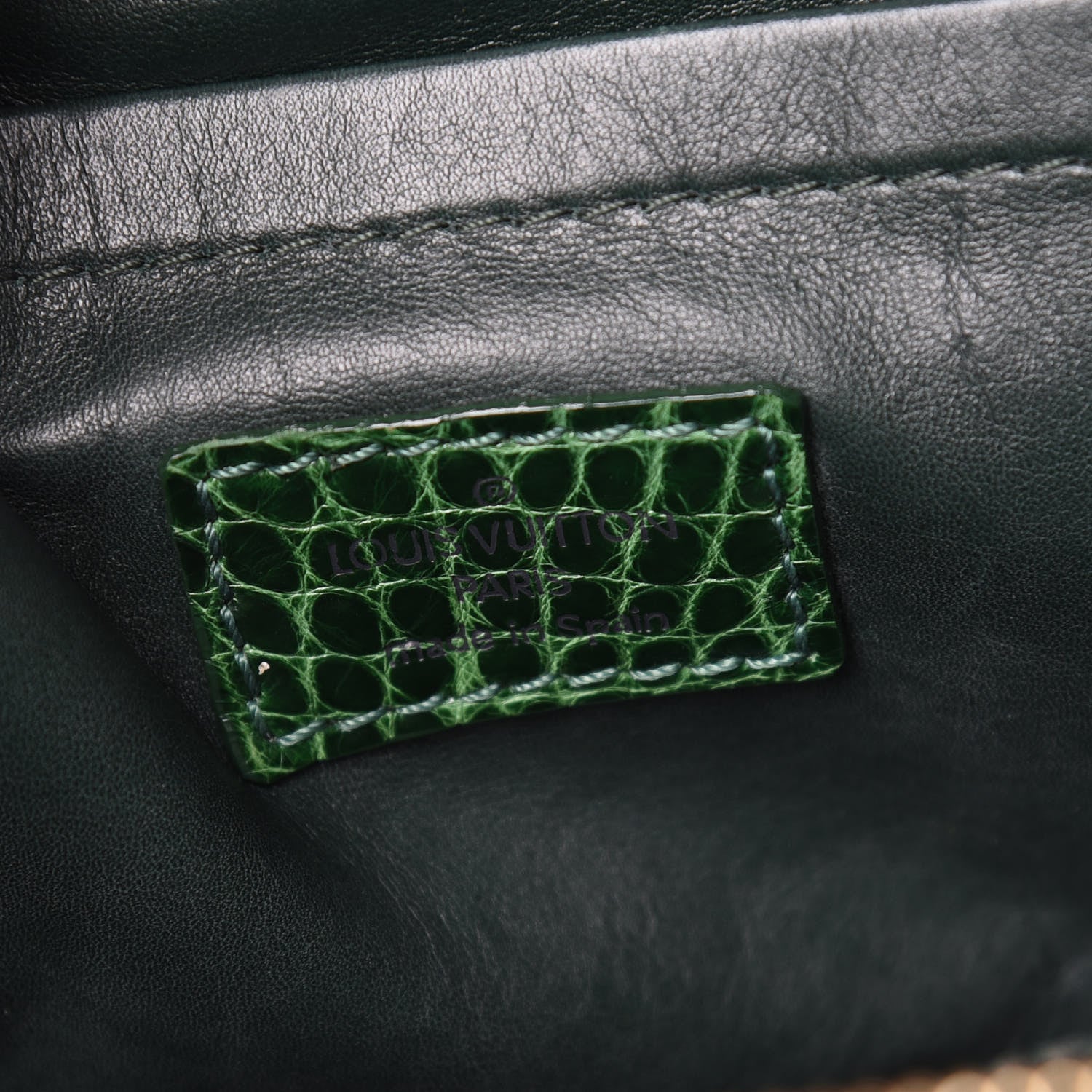 Louis Vuitton Monogram Velours Alligator Gracie MM Green 6 of 10