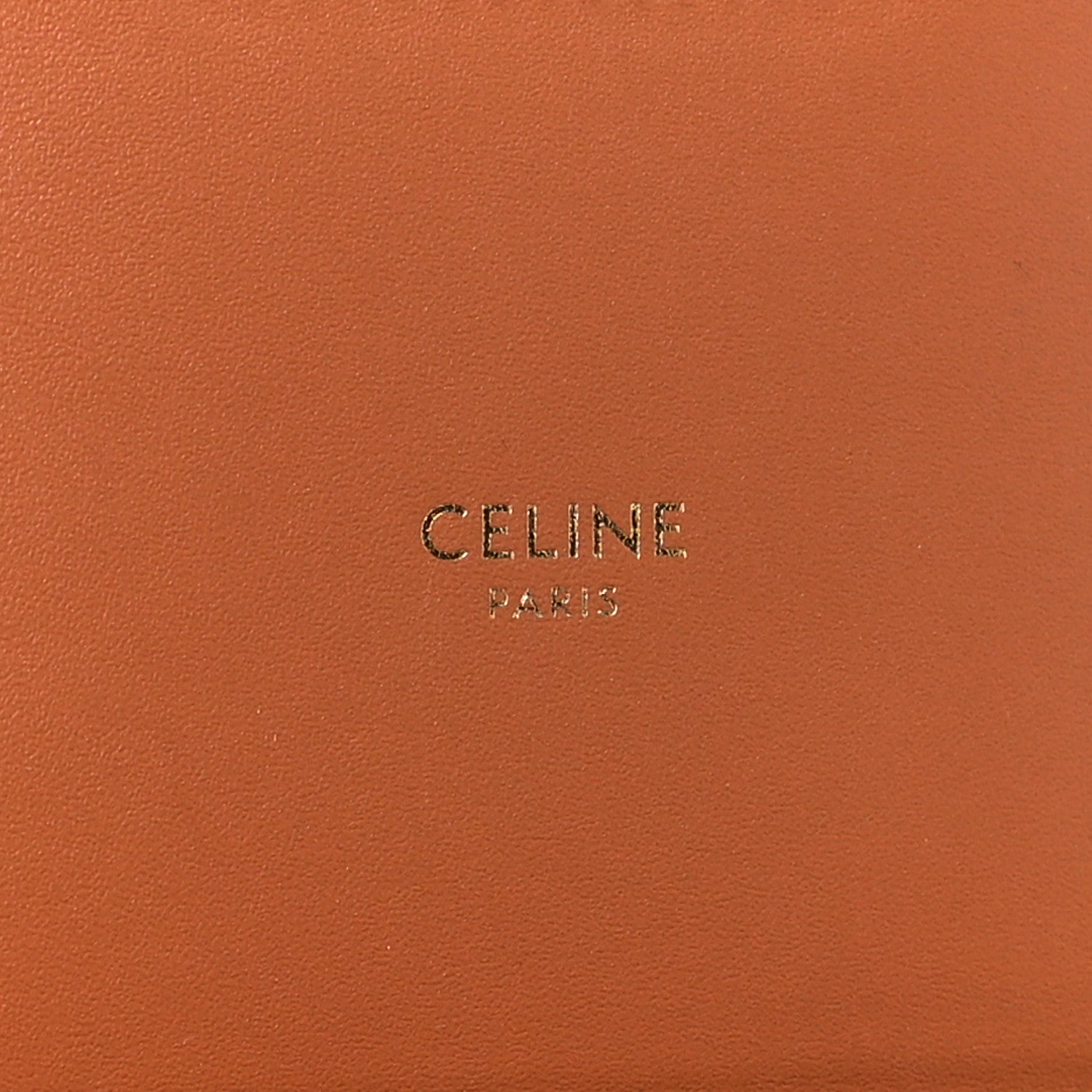 Celine Triomphe Canvas Calfskin Square Vanity Case Tan 6 of 8