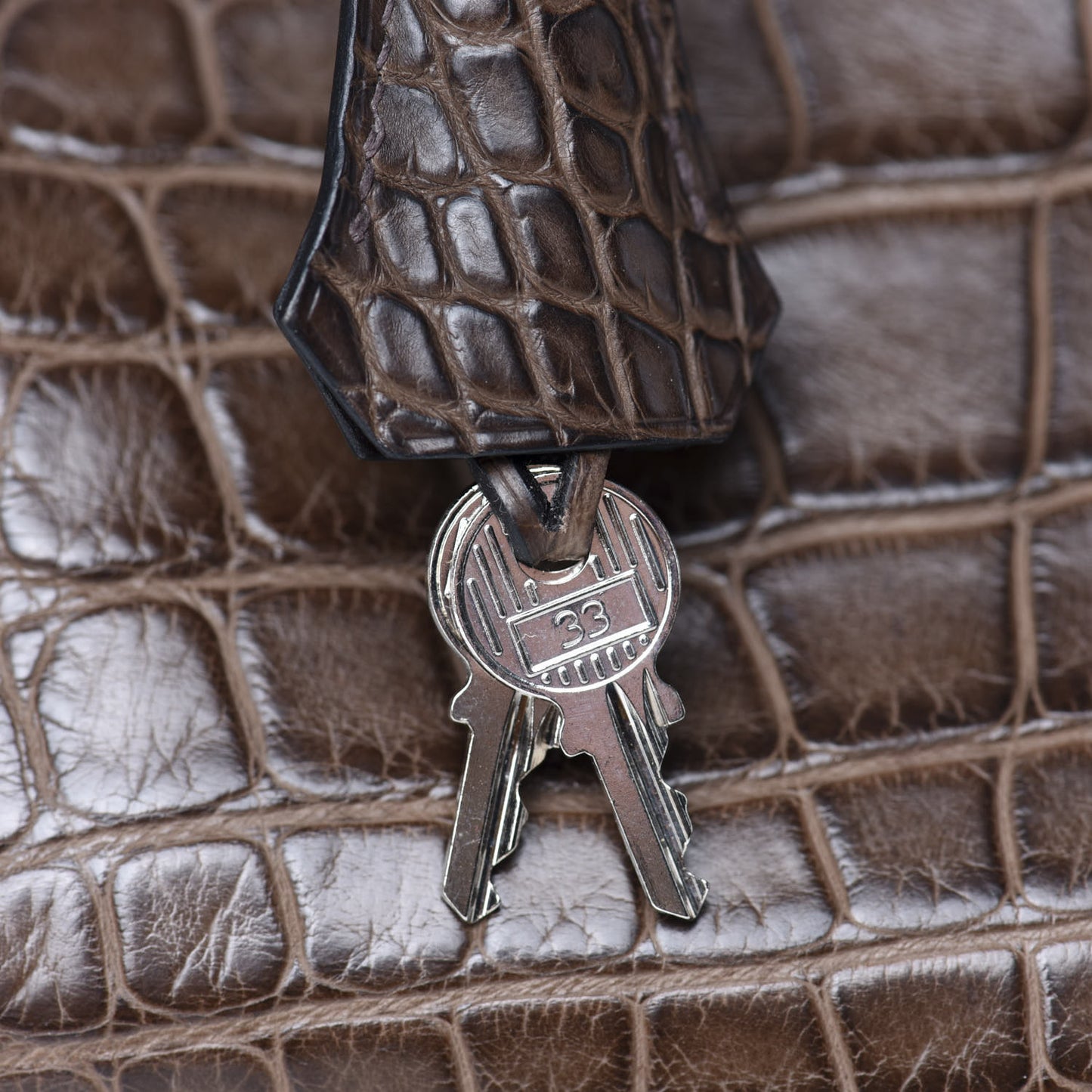 Matte Alligator Birkin 40 Chocolate