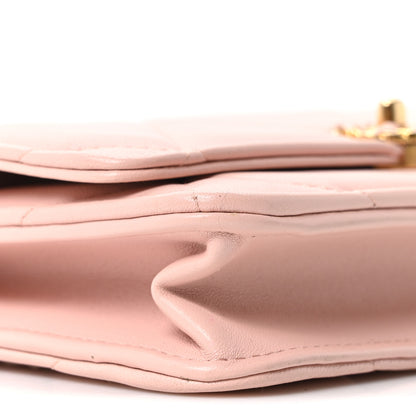 Chanel Lambskin Quilted Chanel 19 Wallet On Chain WOC Light Pink 9 of 11