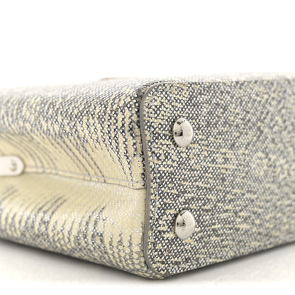 Louis Vuitton Lizard Mini Capucines Argento 8 of 10