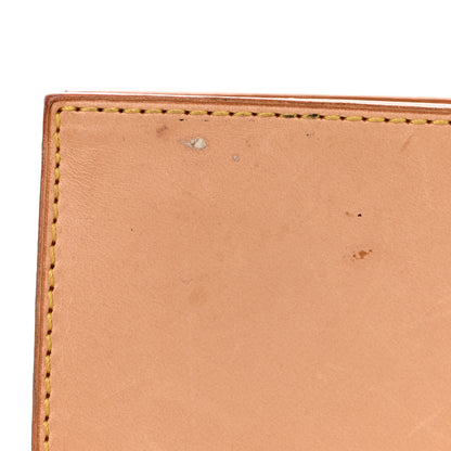 Louis Vuitton Vinyl Cabas Sac Ambre MM 18 of 18