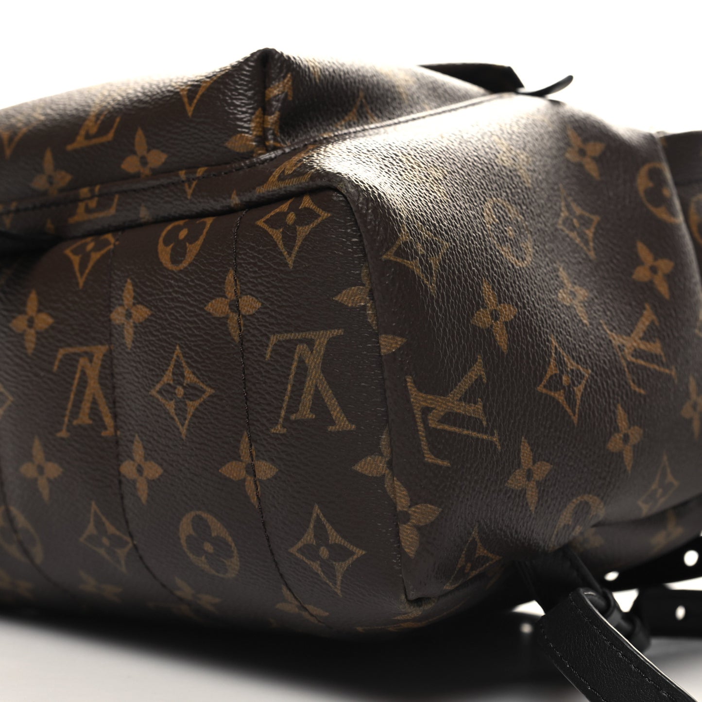 Monogram Palm Springs Backpack MM