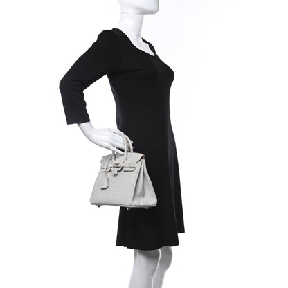 Hermes Ostrich Birkin 25 Gris Perle 2 of 11