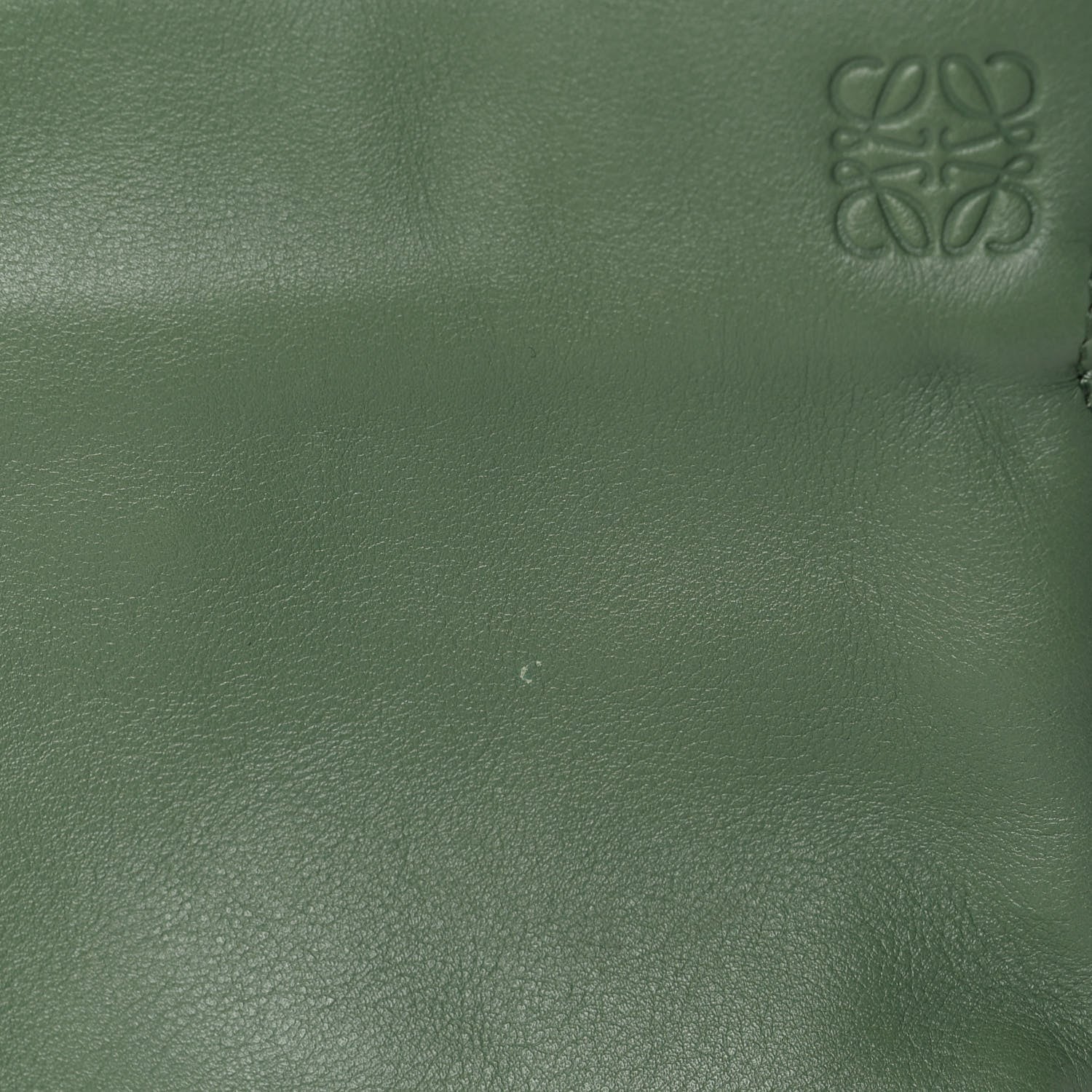 Loewe Calfskin Nano Flamenco Knot Clutch Rosemary 9 of 9