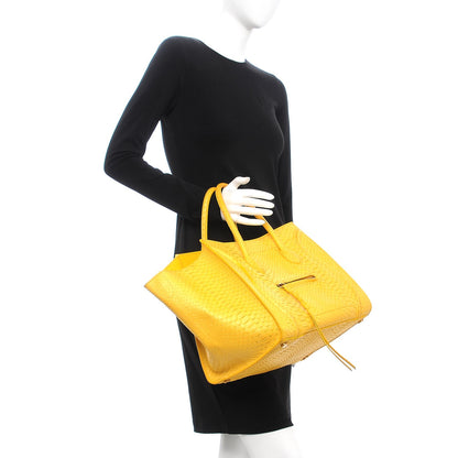Celine Python Medium Phantom Luggage Yellow 2 of 13