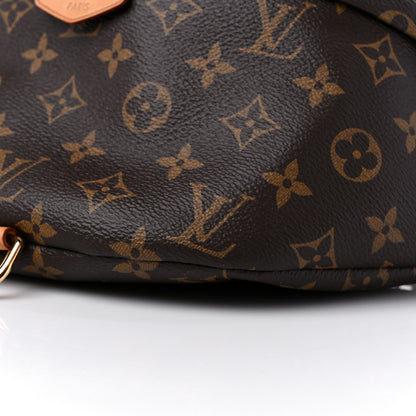 Louis Vuitton Monogram Bumbag 9 of 13