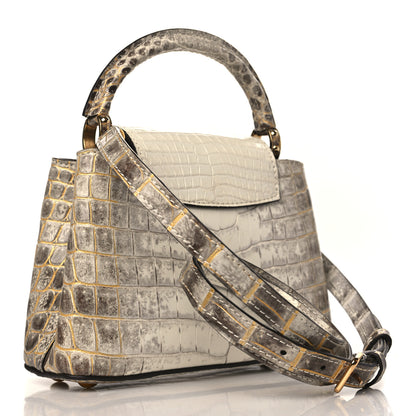 Louis Vuitton Himalaya Crocodile Mini Capucines 3 of 8