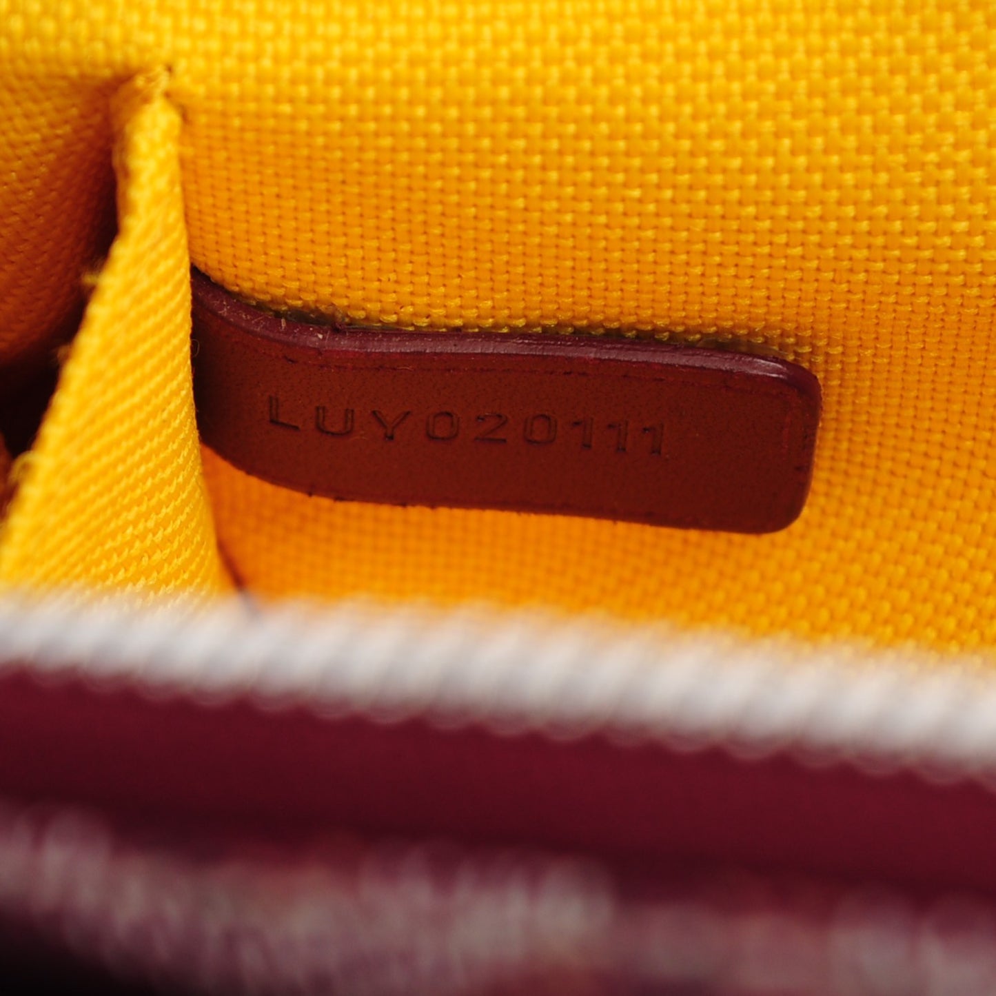 Goyardine Miroir Toiletry Bag PM Red