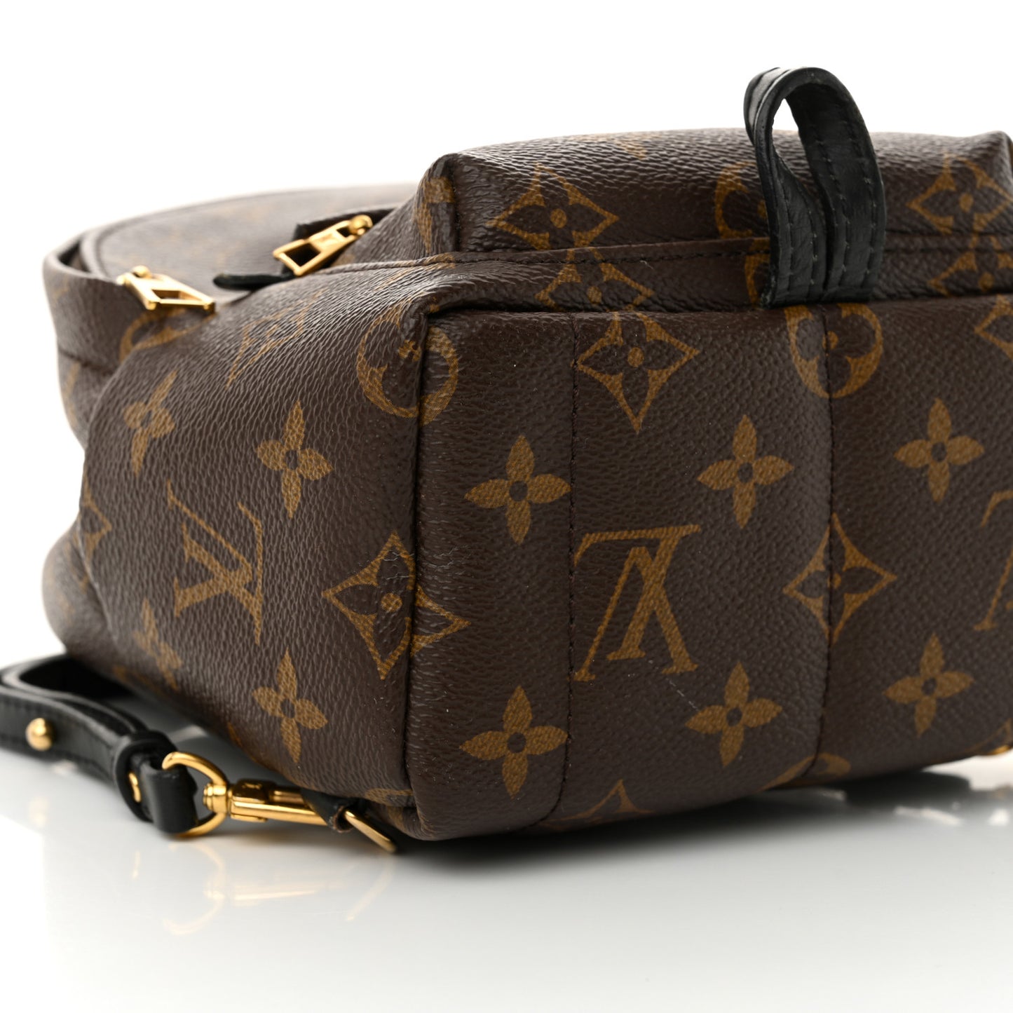 Monogram Palm Springs Backpack Mini