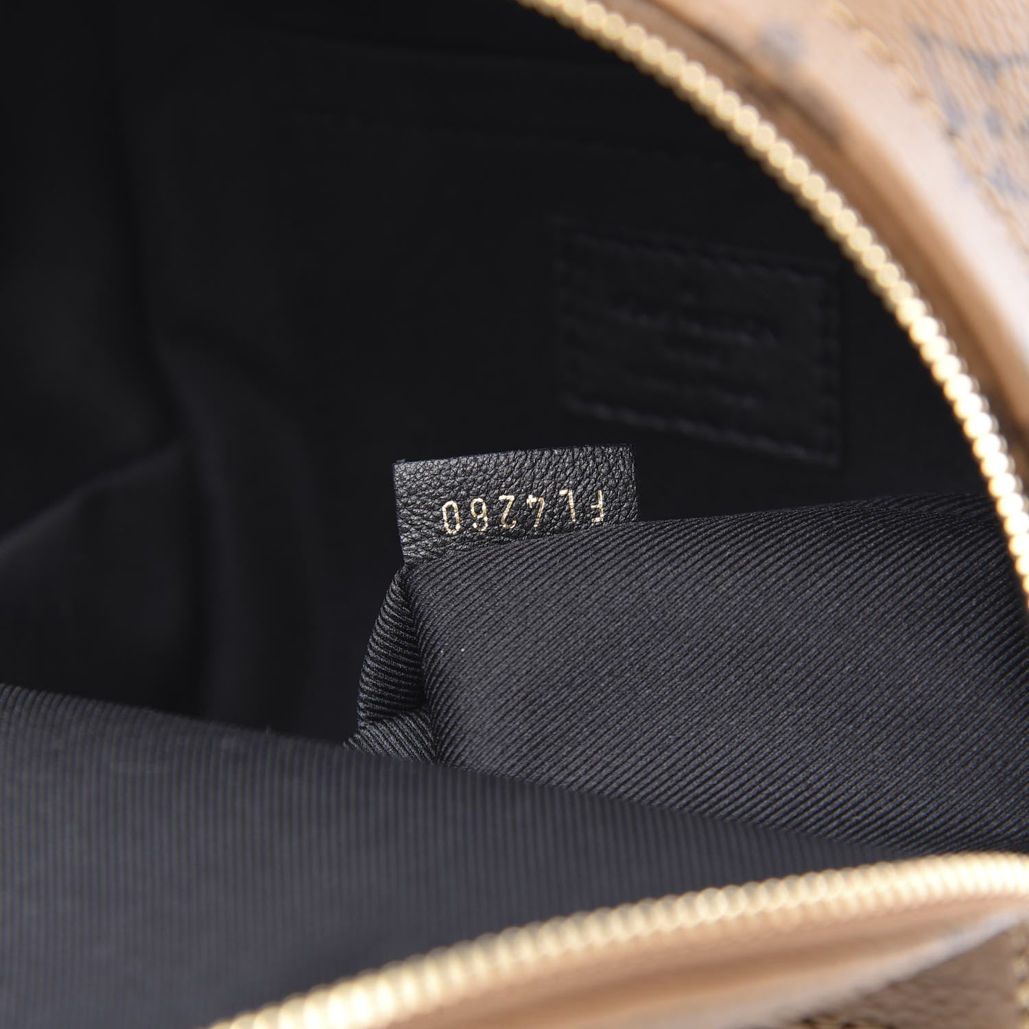 Louis Vuitton Reverse Monogram Palm Springs Backpack Mini 6 of 9