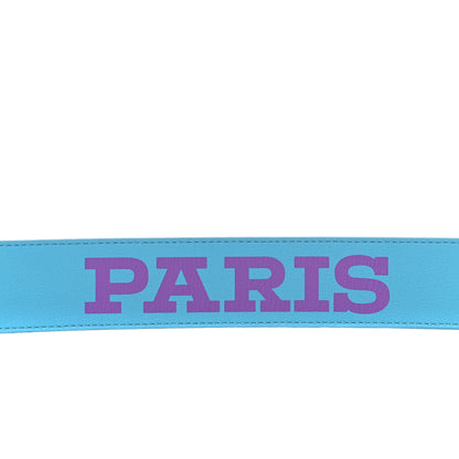 Louis Vuitton Calfskin Monogram 40mm LV Pyramide Cities Paris Reversible Belt 95 38 3 of 6
