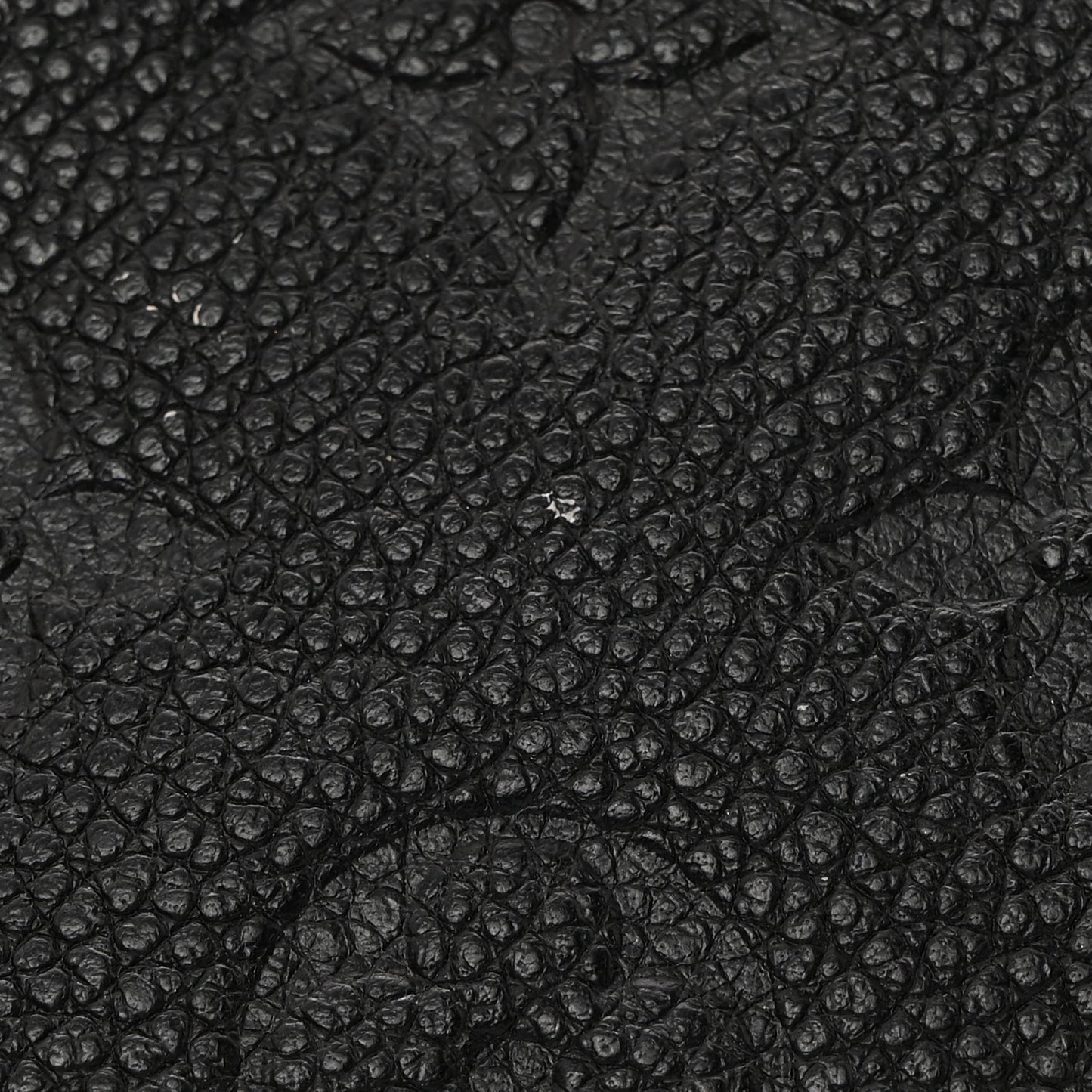 Empreinte Compact Curieuse Wallet Black