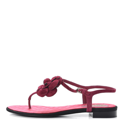 Chanel Suede Calfskin Camellia Thong Sandals 41 Dark Pink 1 of 10