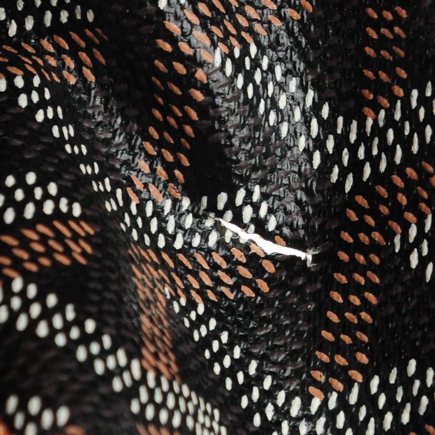 Goyard Goyardine Saint Louis PM Black Gold 11 of 12