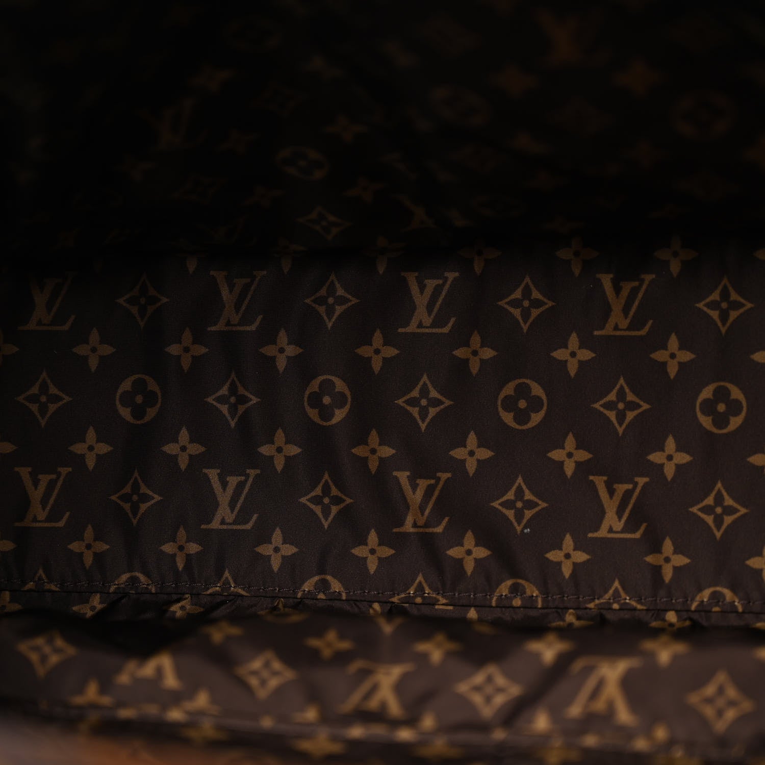 Louis Vuitton Econyl Monogram Pillow Giant Onthego GM Black 5 of 11