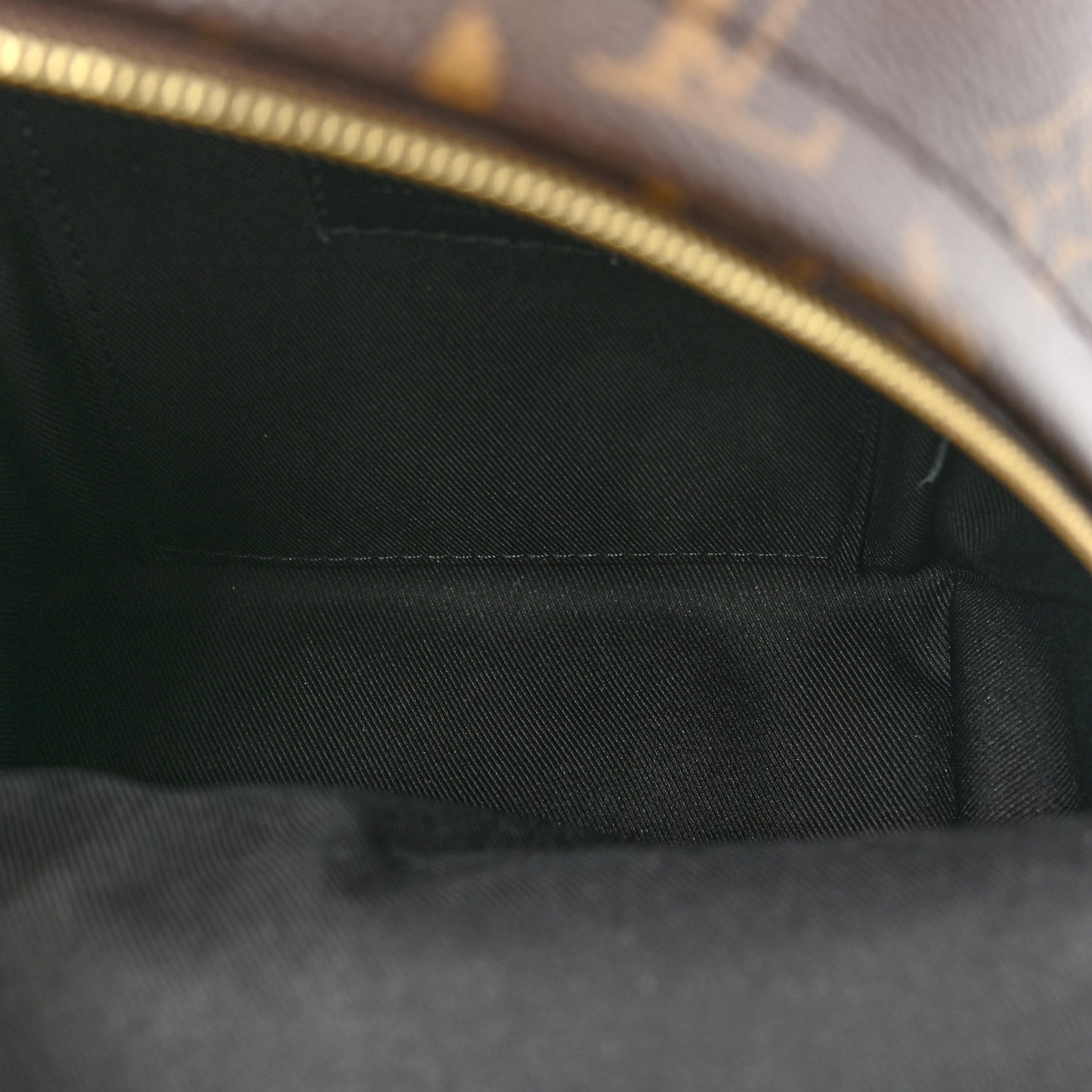 Monogram Palm Springs Backpack Mini
