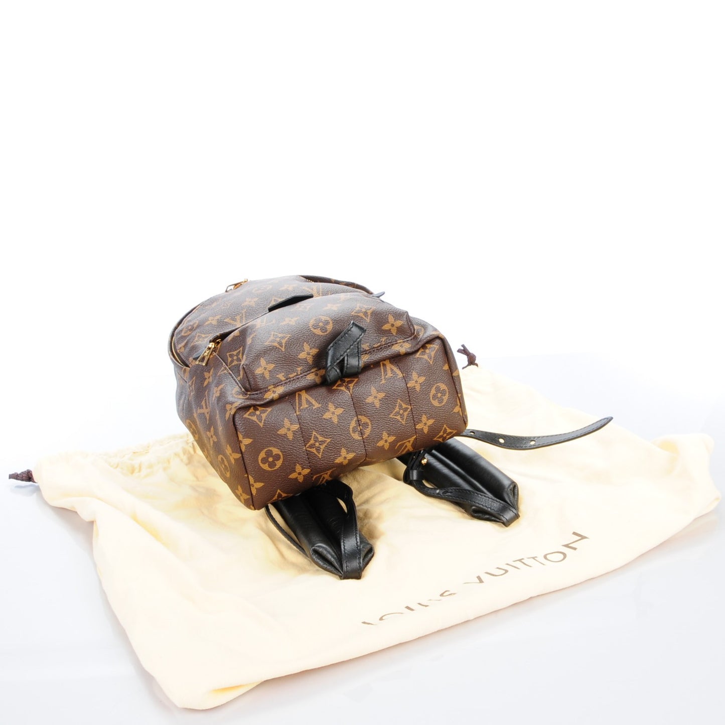 Monogram Palm Springs Backpack PM