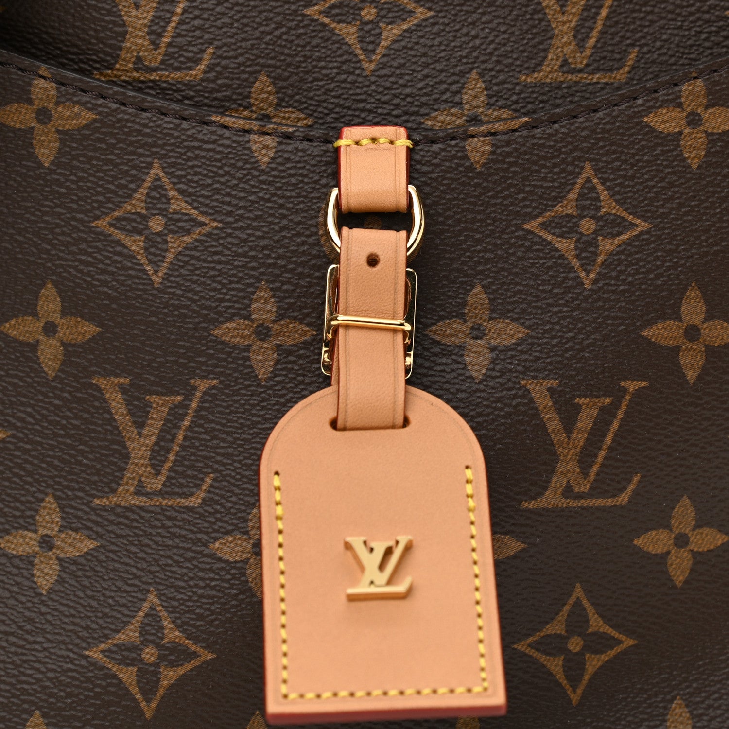 Louis Vuitton Monogram Odeon PM Natural 7 of 10