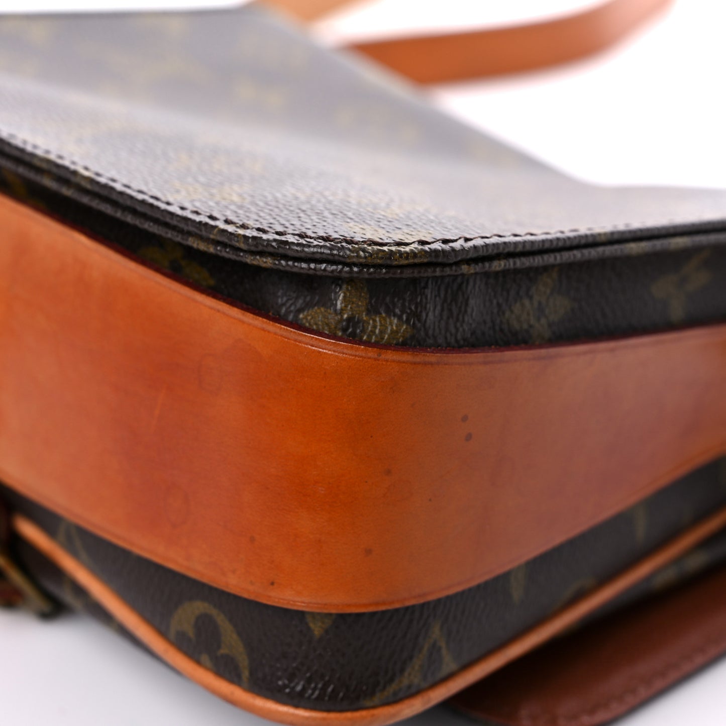 Monogram Cartouchiere 22