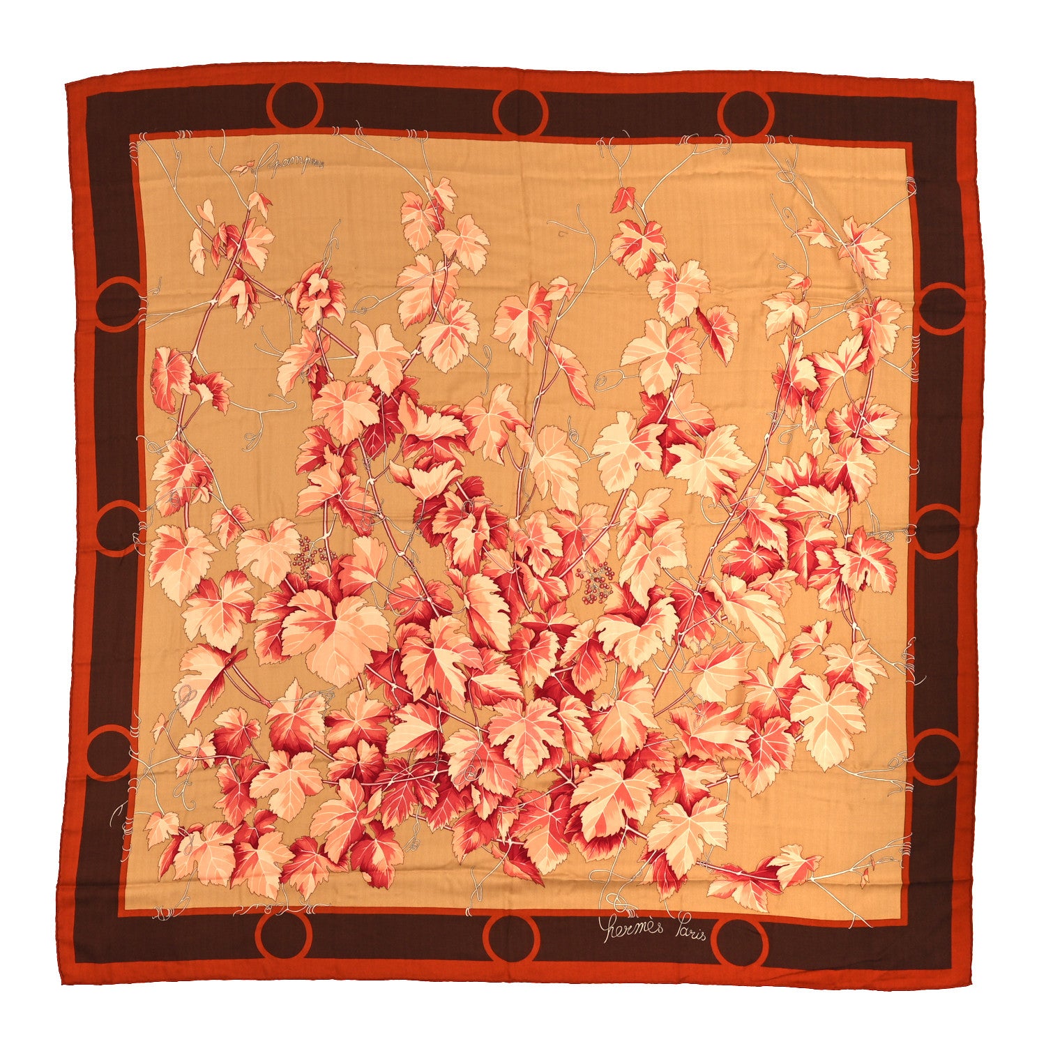 Hermes Cashmere Silk Pampres Shawl 140 2 of 6