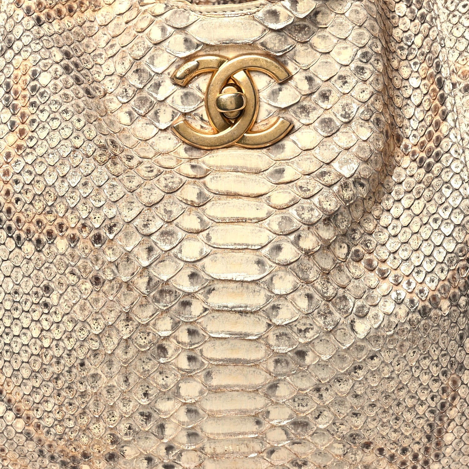 Chanel Snakeskin CC Hobo Beige 8 of 10
