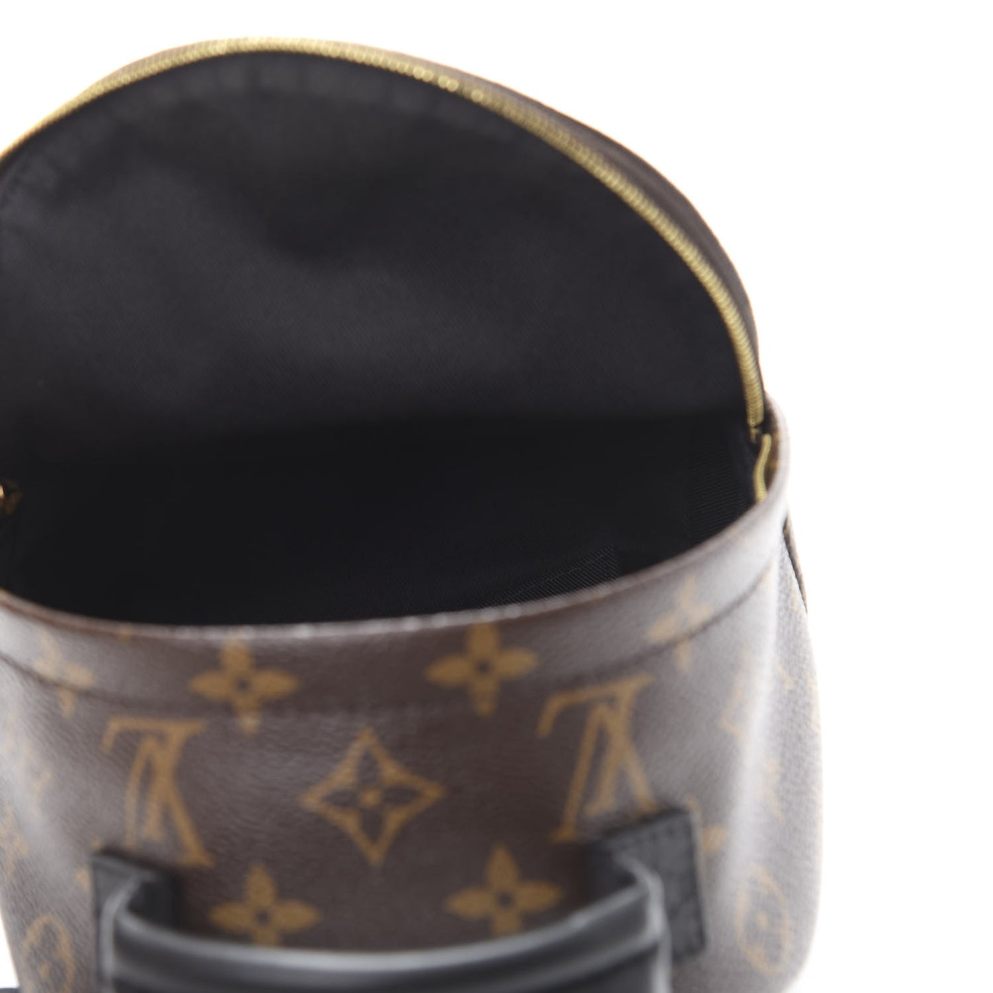 Monogram Palm Springs Backpack Mini