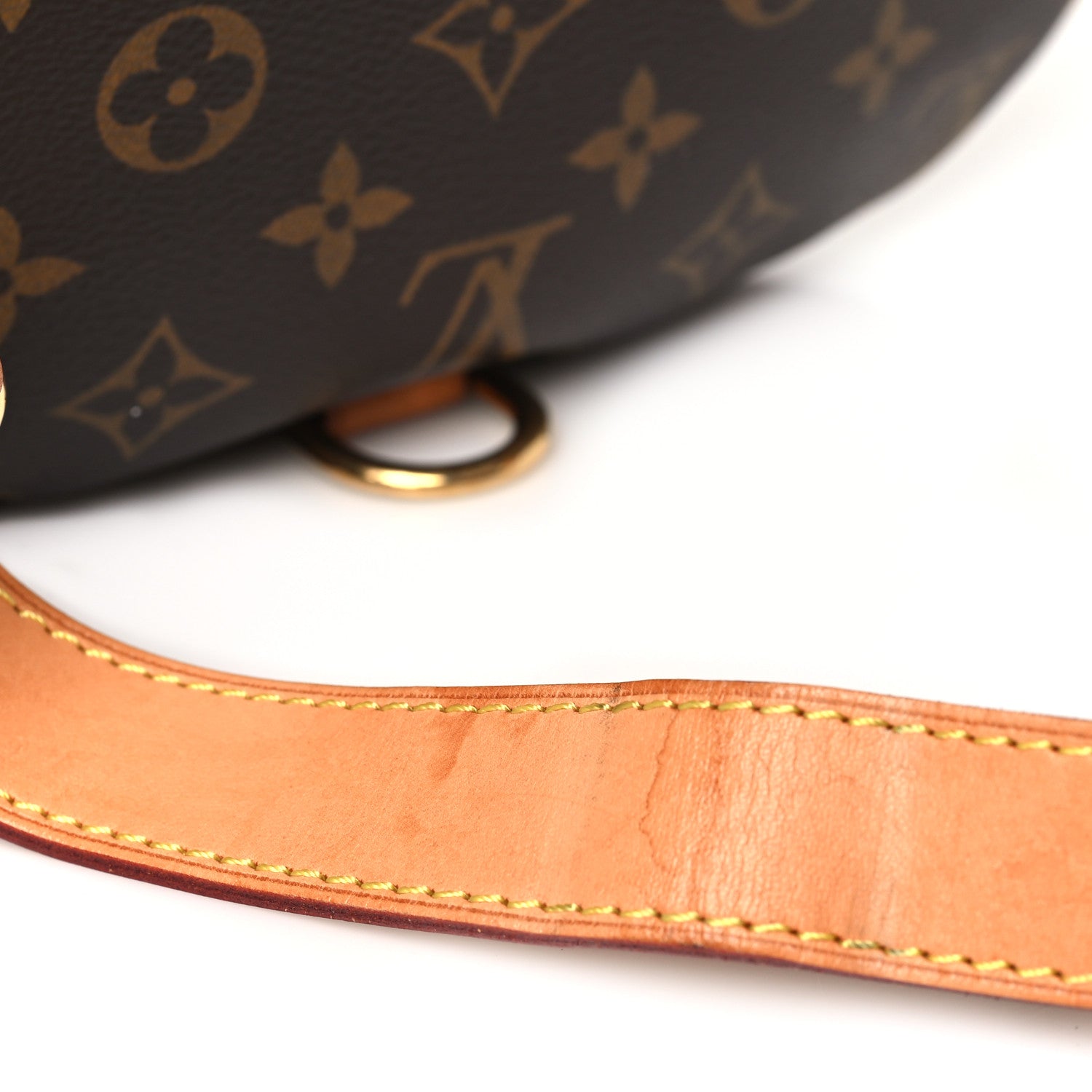 Louis Vuitton Monogram Bumbag 11 of 12