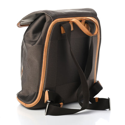 Louis Vuitton Damier Geant Pionnier Backpack Terre 2 of 4