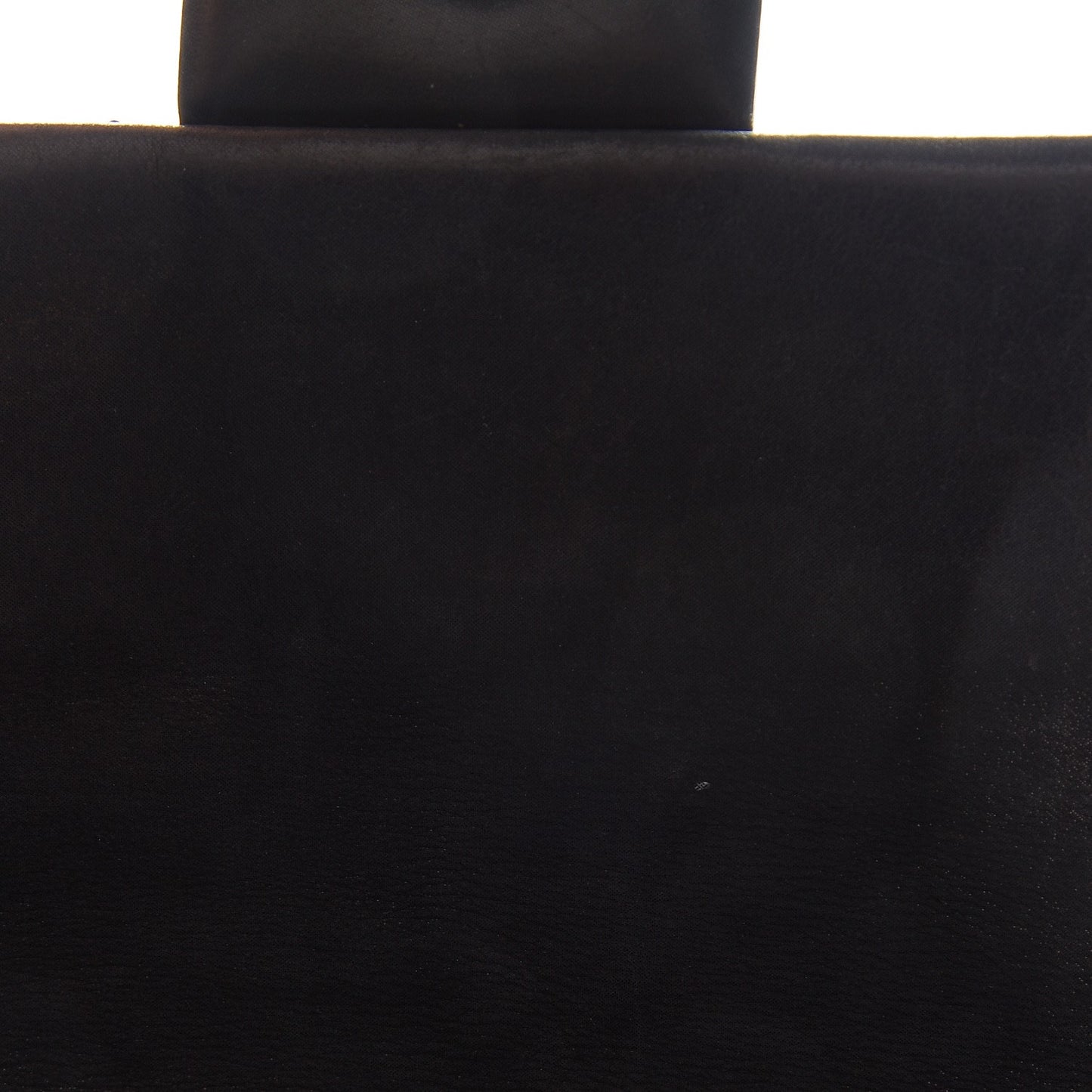 Iridescent Calfskin Large Coco Daily Flap Black