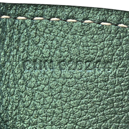 Goyard Iridescent Goyardine Saint Louis PM Pearly Green 9 of 12
