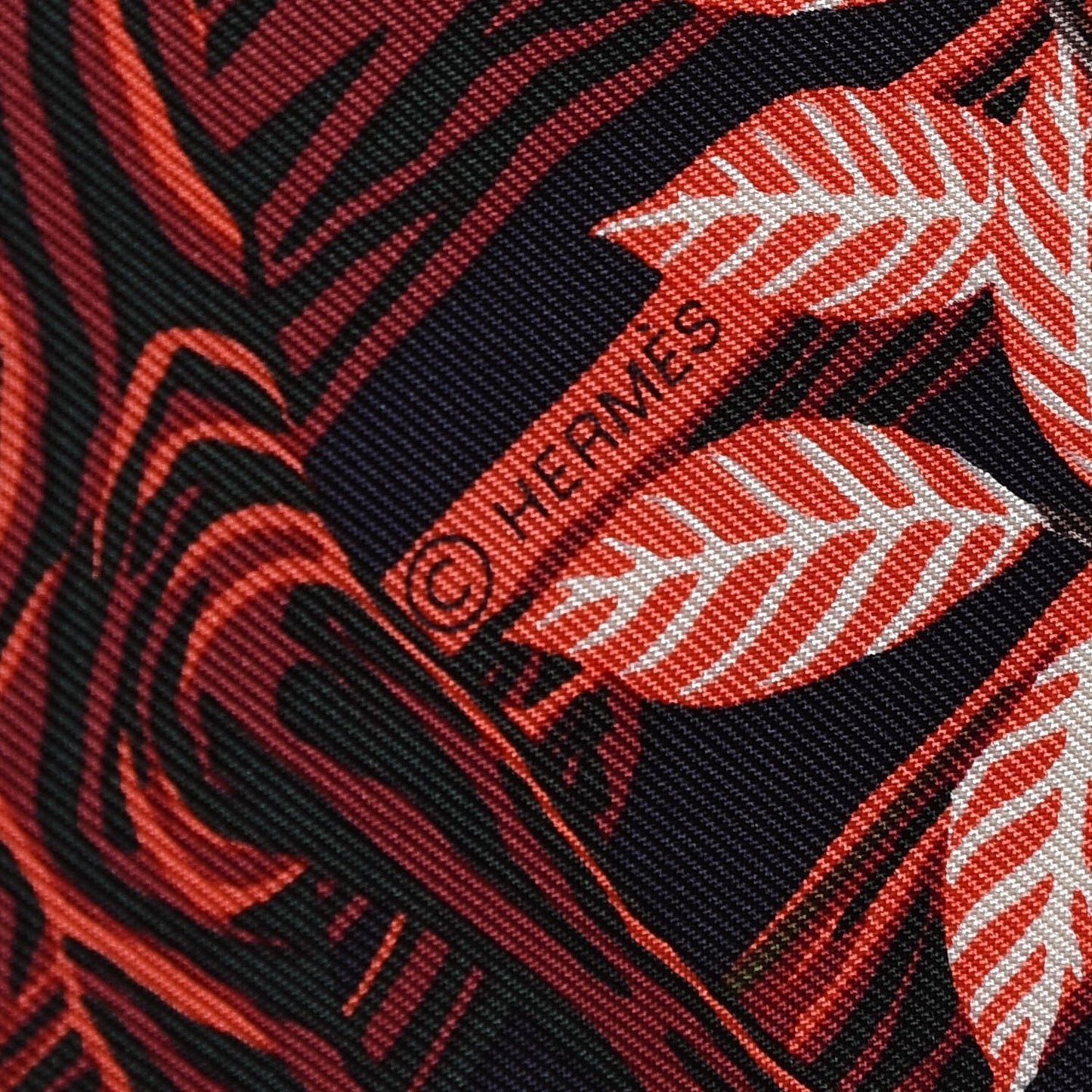 Silk Into the Canadian Wild Scarf 90 Vert Corail Bordeaux