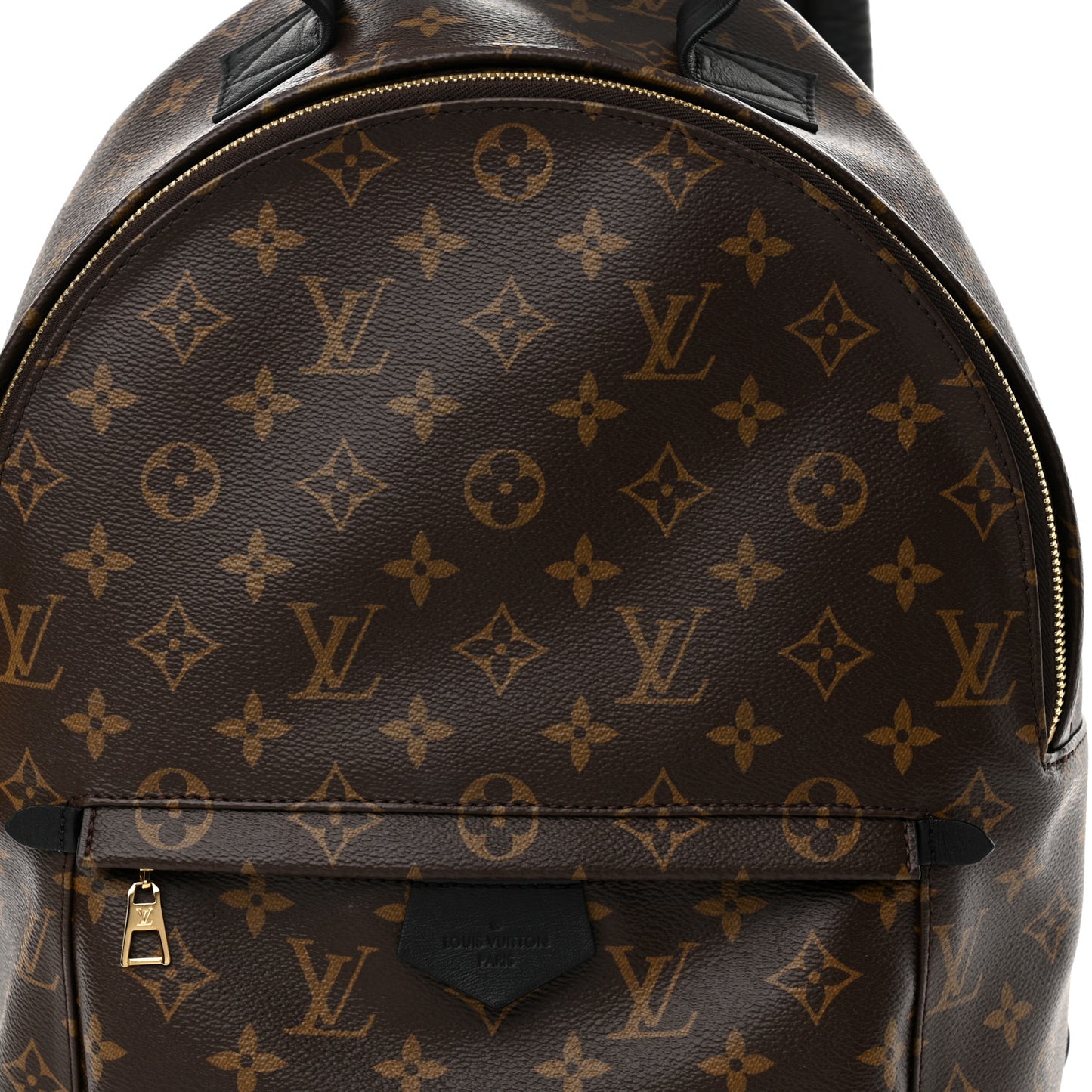 Monogram Palm Springs Backpack MM