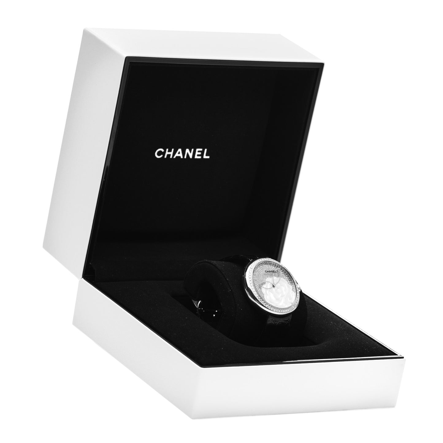 18K White Gold Alligator Diamond Mother of Pearl 37.5mm Mademoiselle Prive Automatic Watch