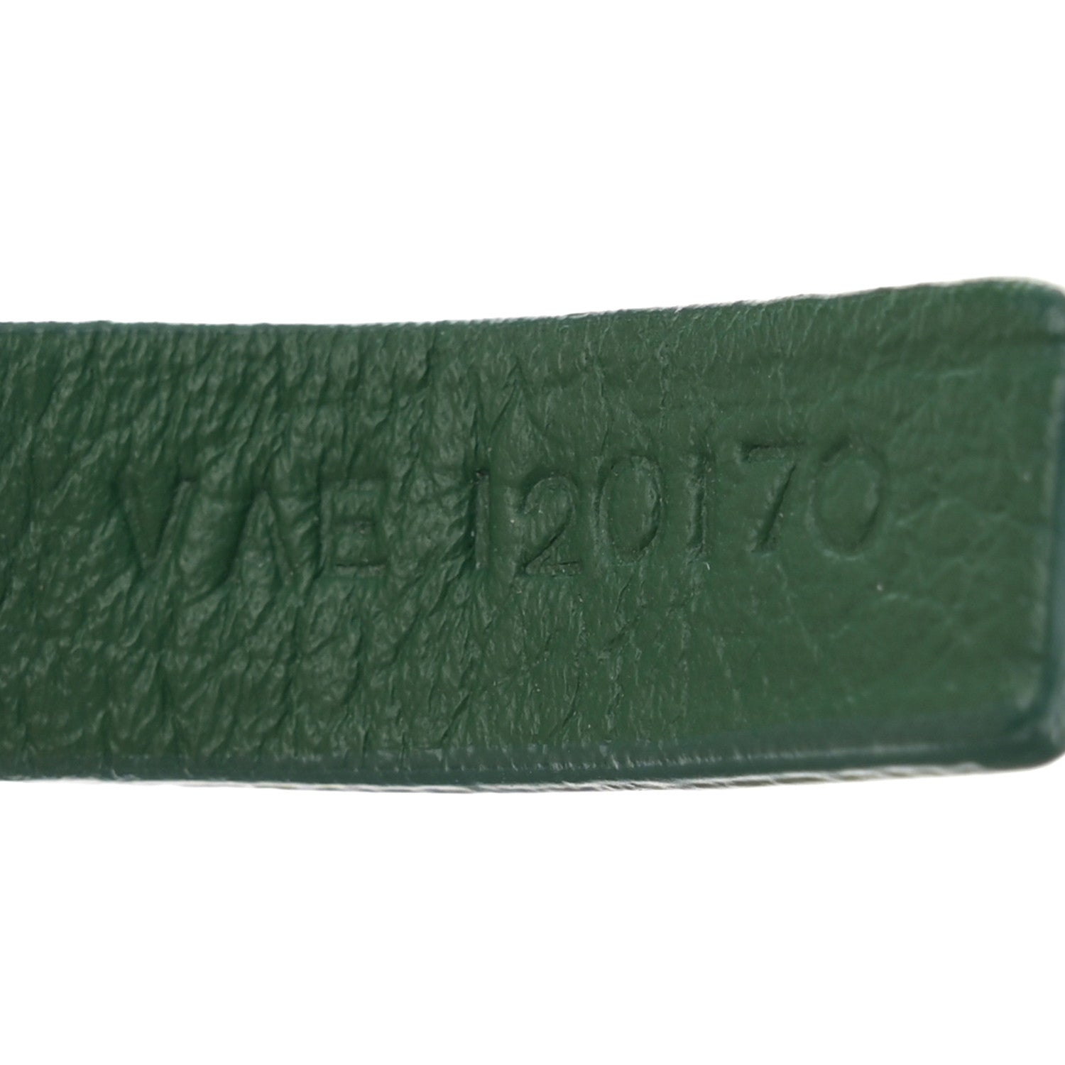 Goyard Goyardine Saint Louis PM Green 8 of 11