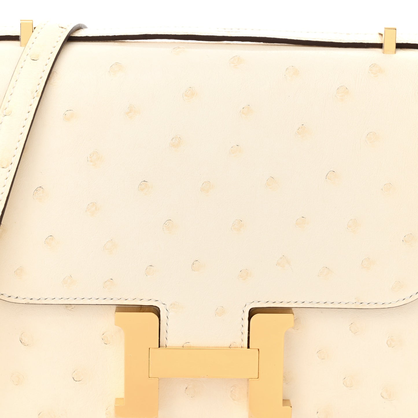 Ostrich Constance 18 Nata