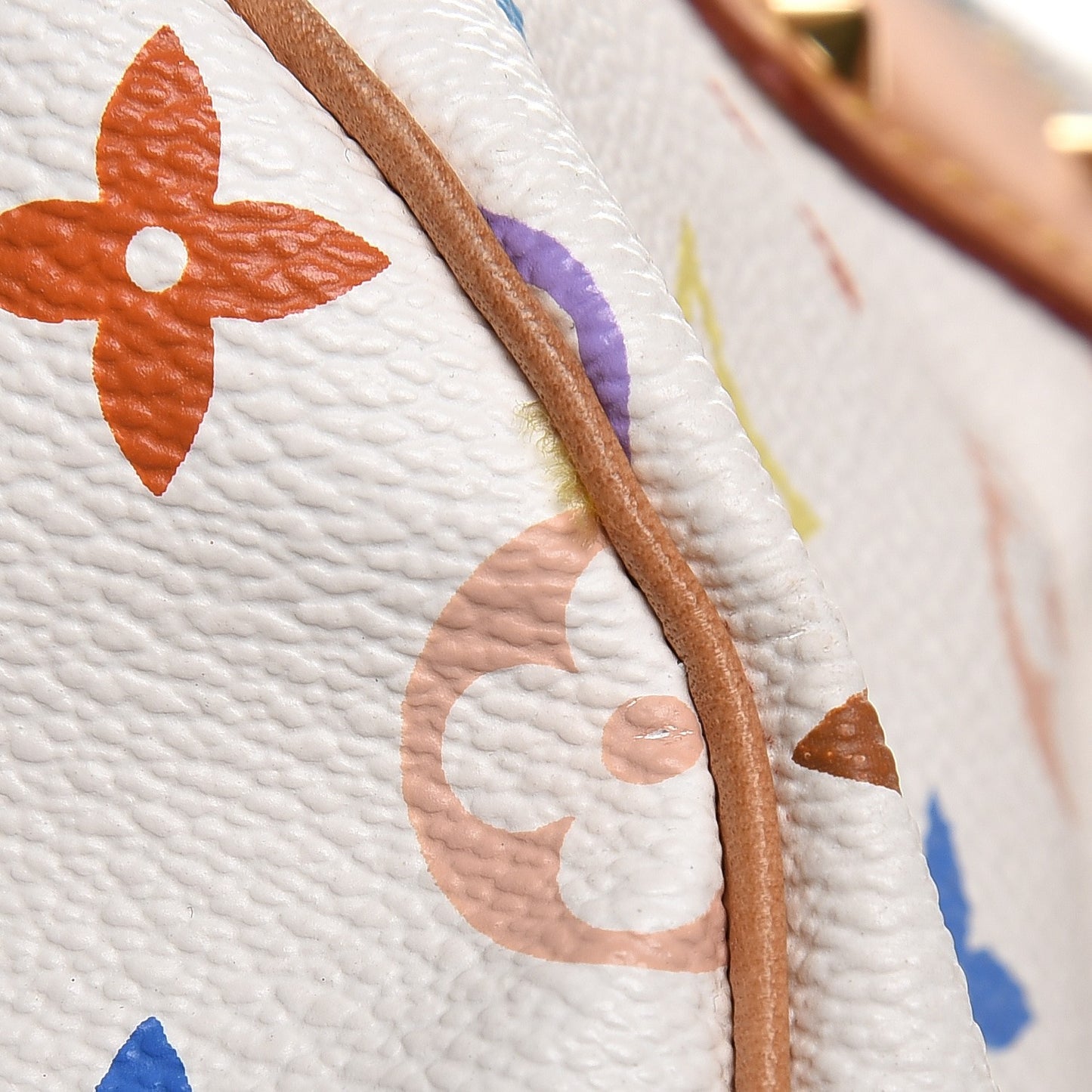 Monogram Multicolor Speedy 30 White