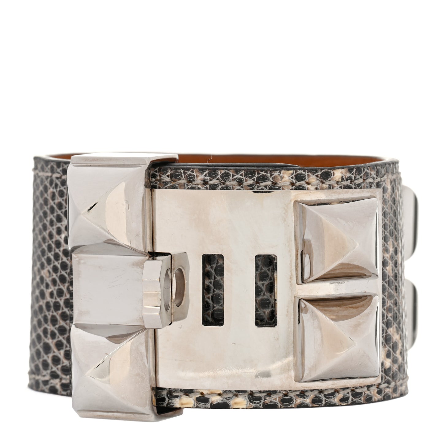 Lizard Collier de Chien CDC Bracelet T1 Ombre