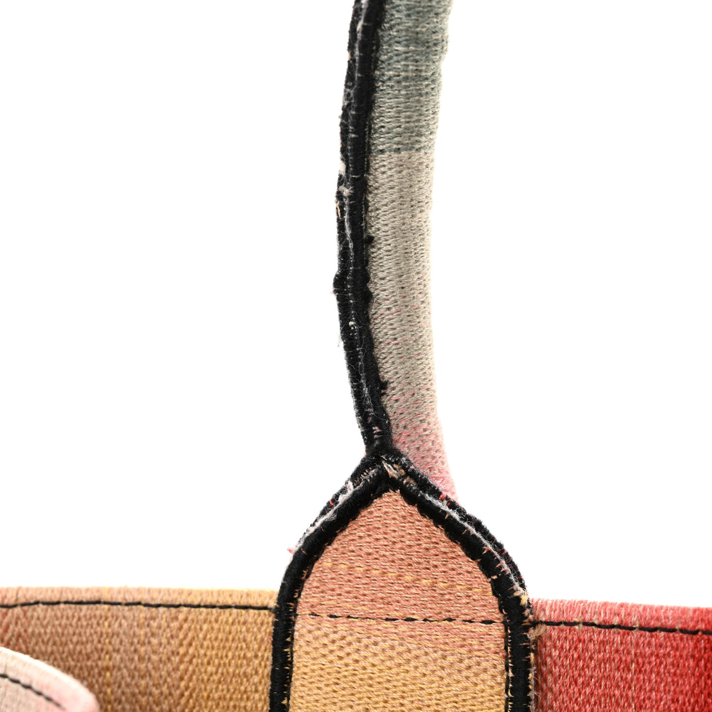 Canvas Embroidered Medium Dioraura Book Tote Multicolor