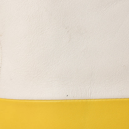 Celine Lambskin Vertical Bi-Cabas White Sun Yellow 16 of 29