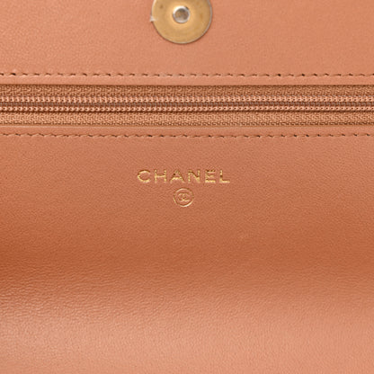 Chanel Lambskin Quilted Chanel 19 Wallet On Chain WOC Brown 6 of 12