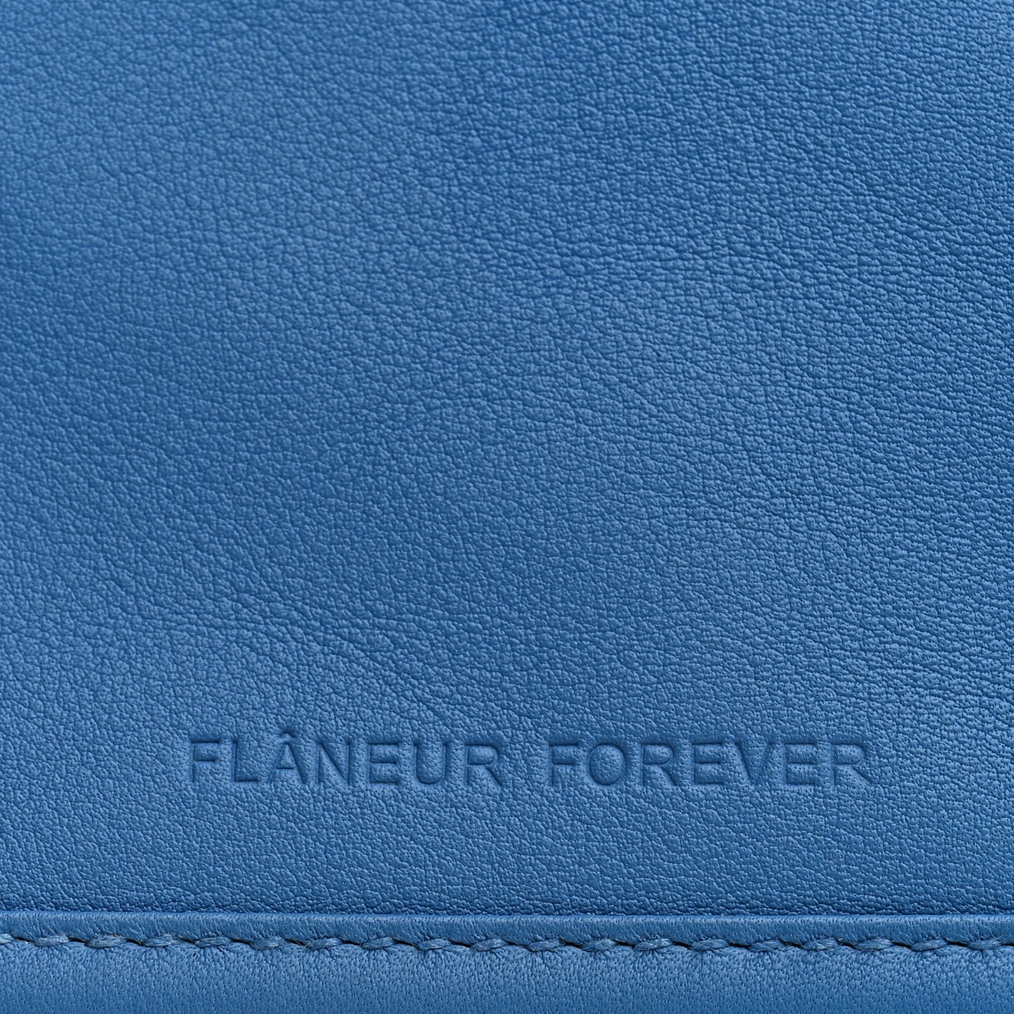 Swift Canvas Petit H Flaneur Forever Pouch Bleu Frida