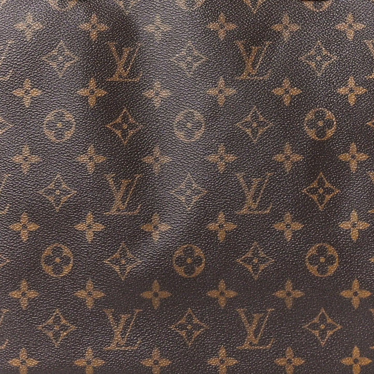 Monogram Cabas Mezzo
