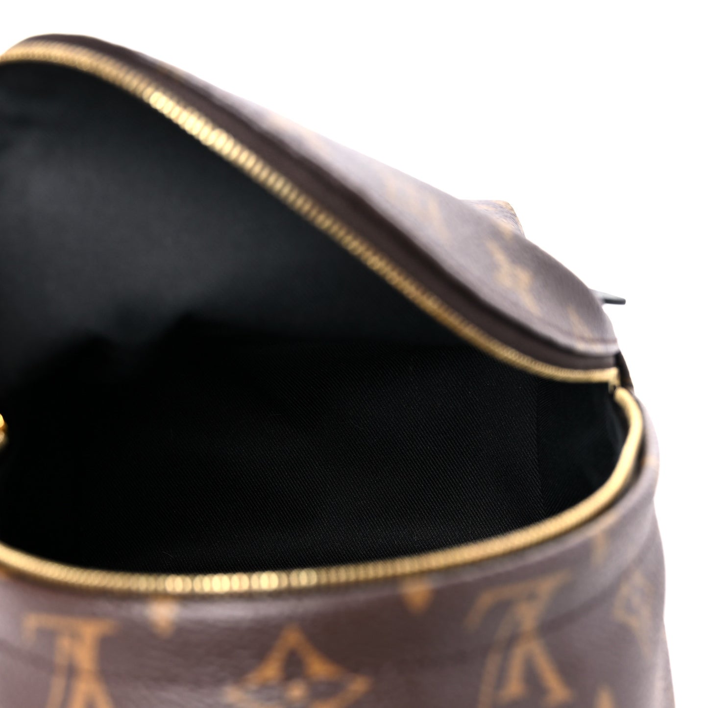 Monogram Palm Springs Backpack Mini