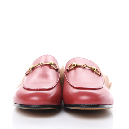 Gucci Betis Glamour Calfskin Fur Womens Princetown Slippers 37 Hibiscus Red Naturale 2 of 12