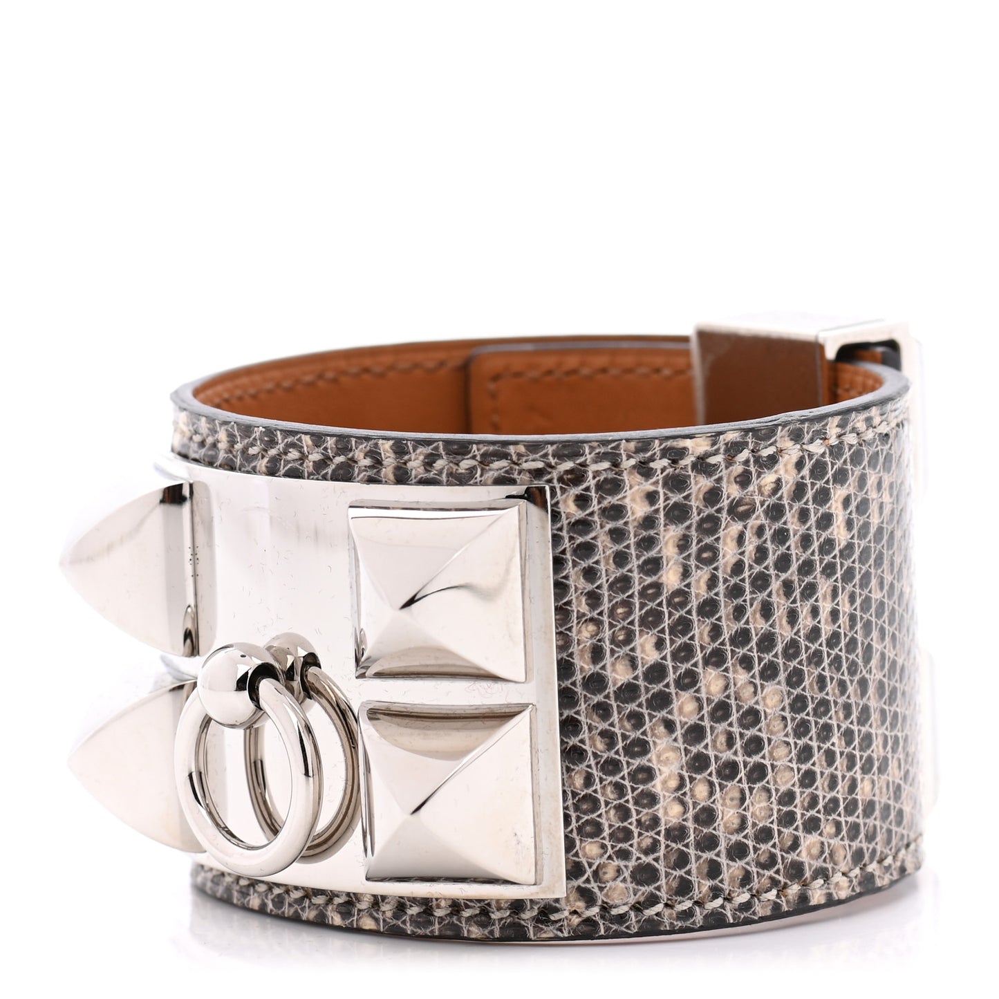 Lizard Collier De Chien CDC Bracelet T2 Ombre