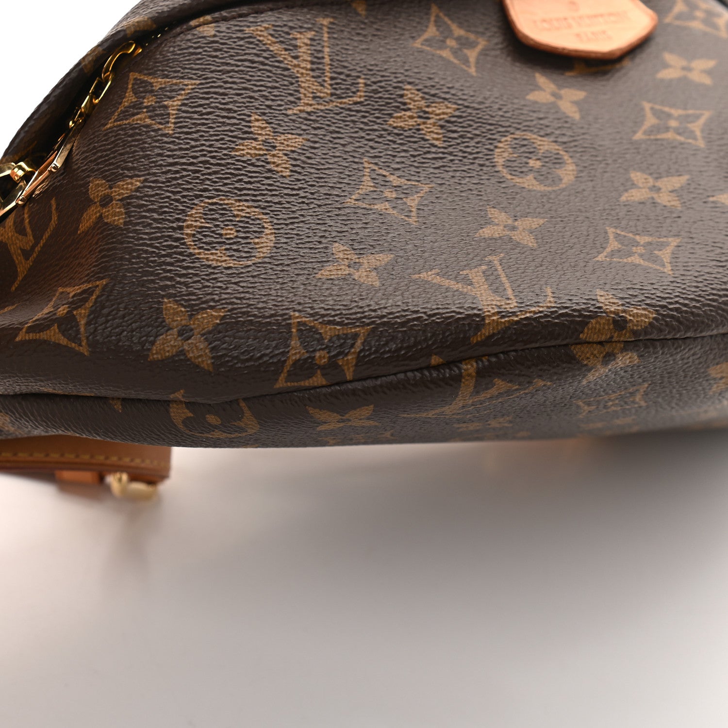Louis Vuitton Monogram Bumbag 7 of 8