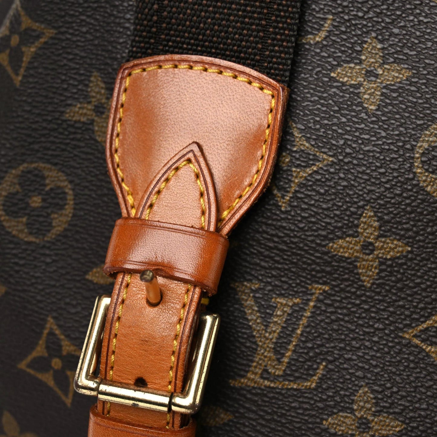 Monogram Montsouris GM Backpack