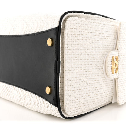Chanel Braided Raffia Calfskin Quilted Small Chanel 25 Handbag White Black 10 of 10