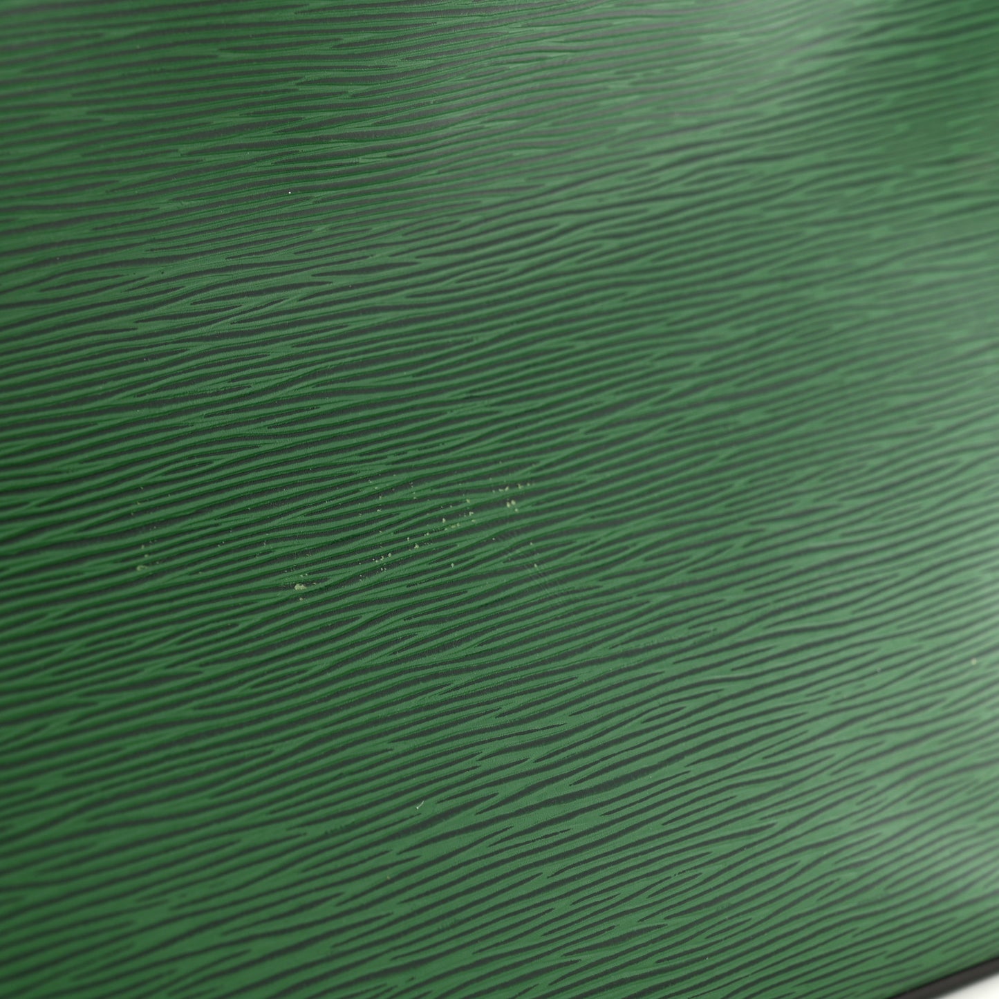 Epi Neverfull MM Borneo Green